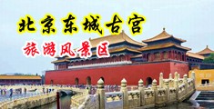 强奸护士肉穴中国北京-东城古宫旅游风景区